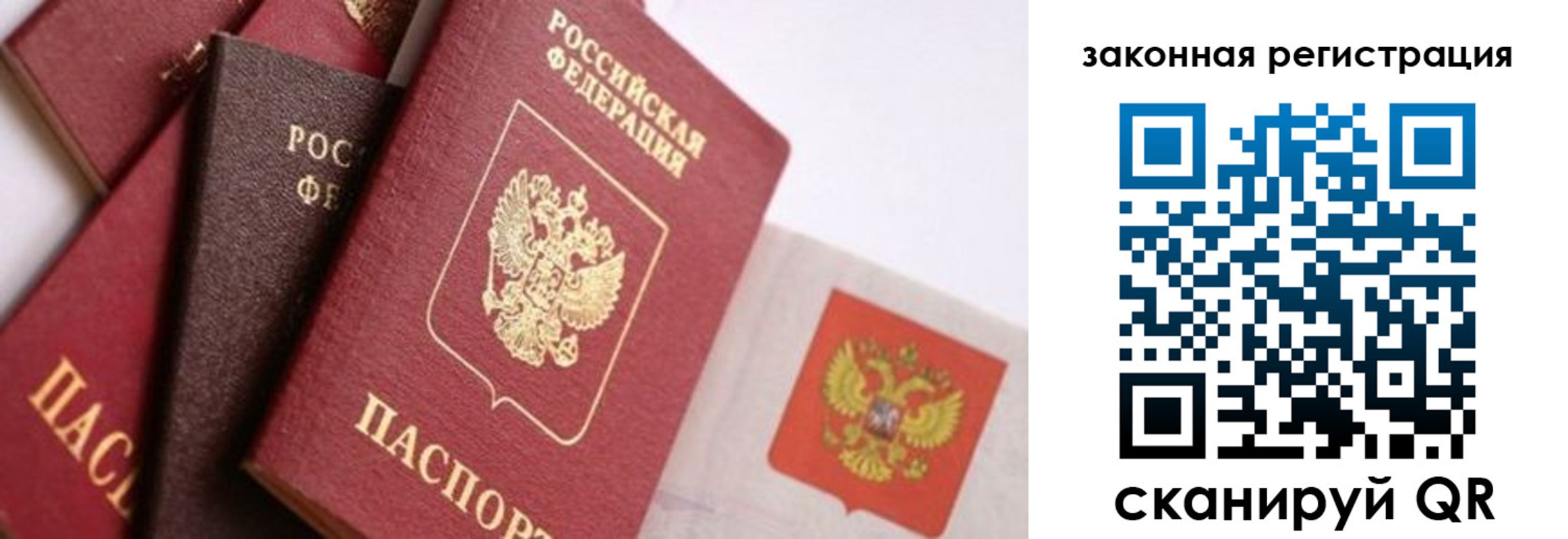 прописка штамп в Михайловке
